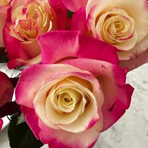 Meet your Posher, Posh